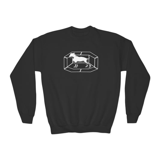 Driprime Streetwear Octagon TM. Youth Sweatshirt