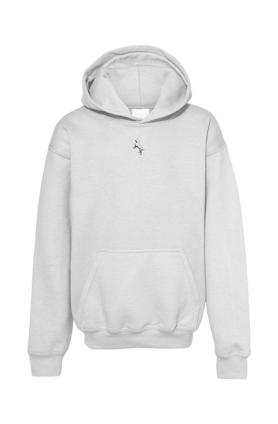 Youth Pullover Hoodie