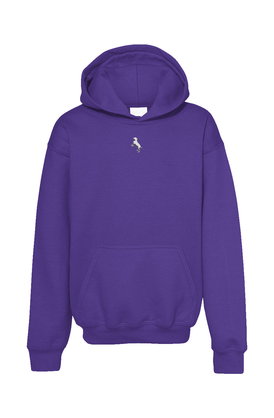 Youth Pullover Hoodie